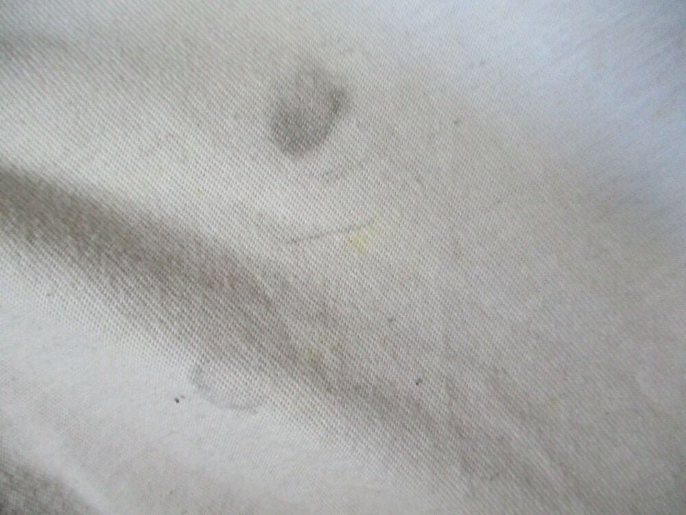 Portwest - White T-shirt - Size XL - Badly grass and paint stained - Odd jobs top - Image 5